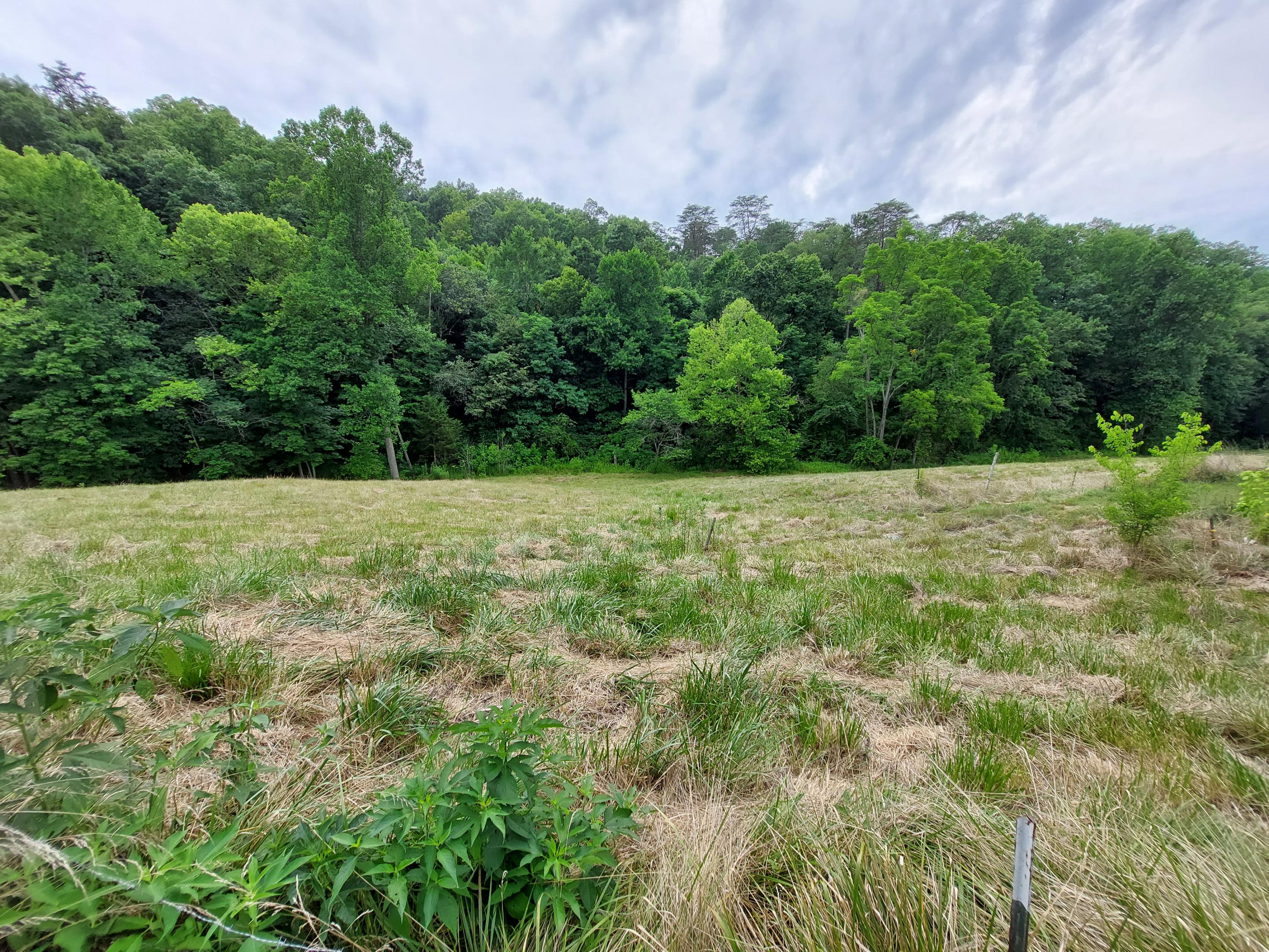 180 Farrow Road Rutledge, TN 37861 - Photo 17 of 38 20210707_160023