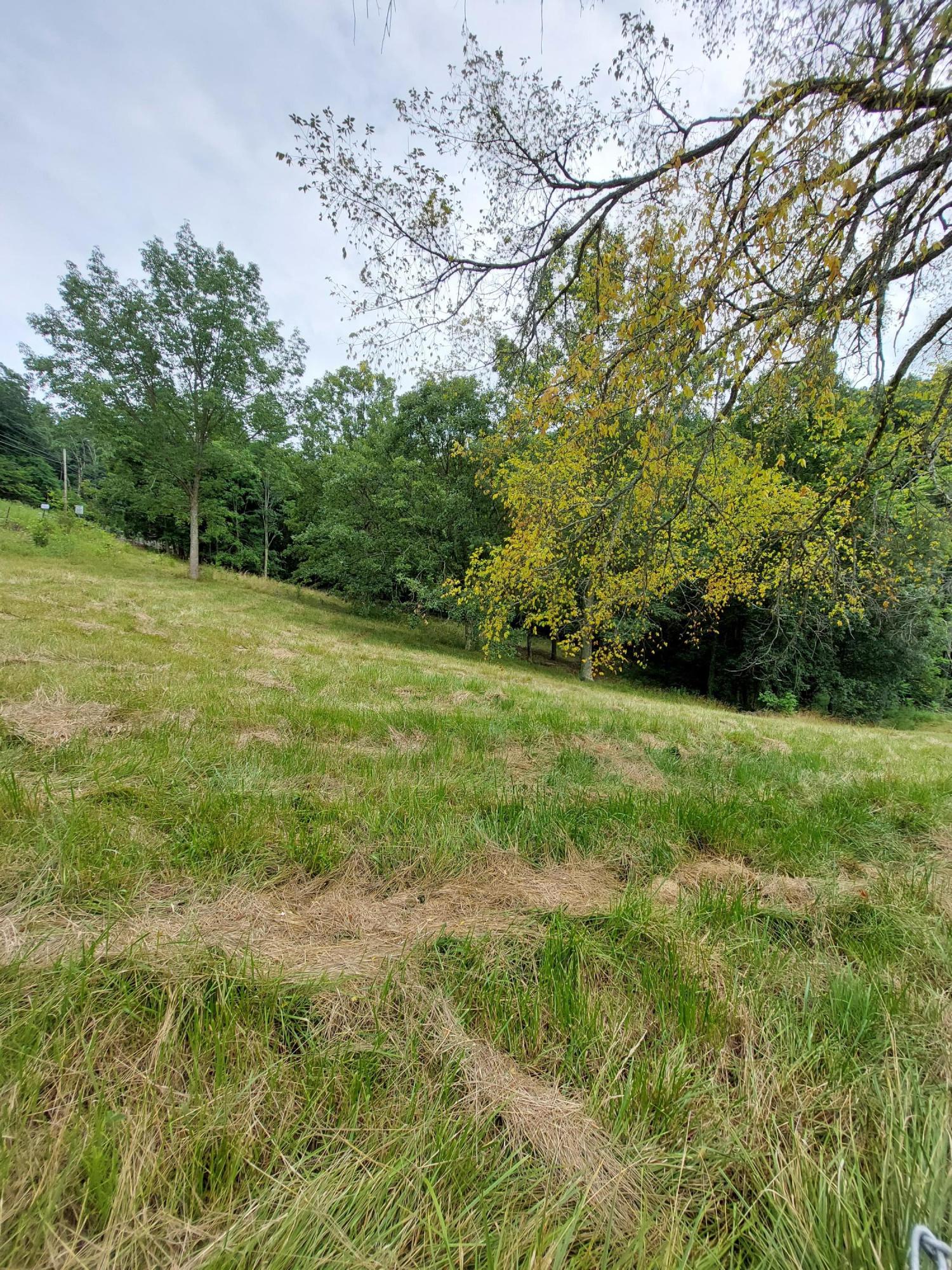 180 Farrow Road Rutledge, TN 37861 - Photo 19 of 38 20210707_160648