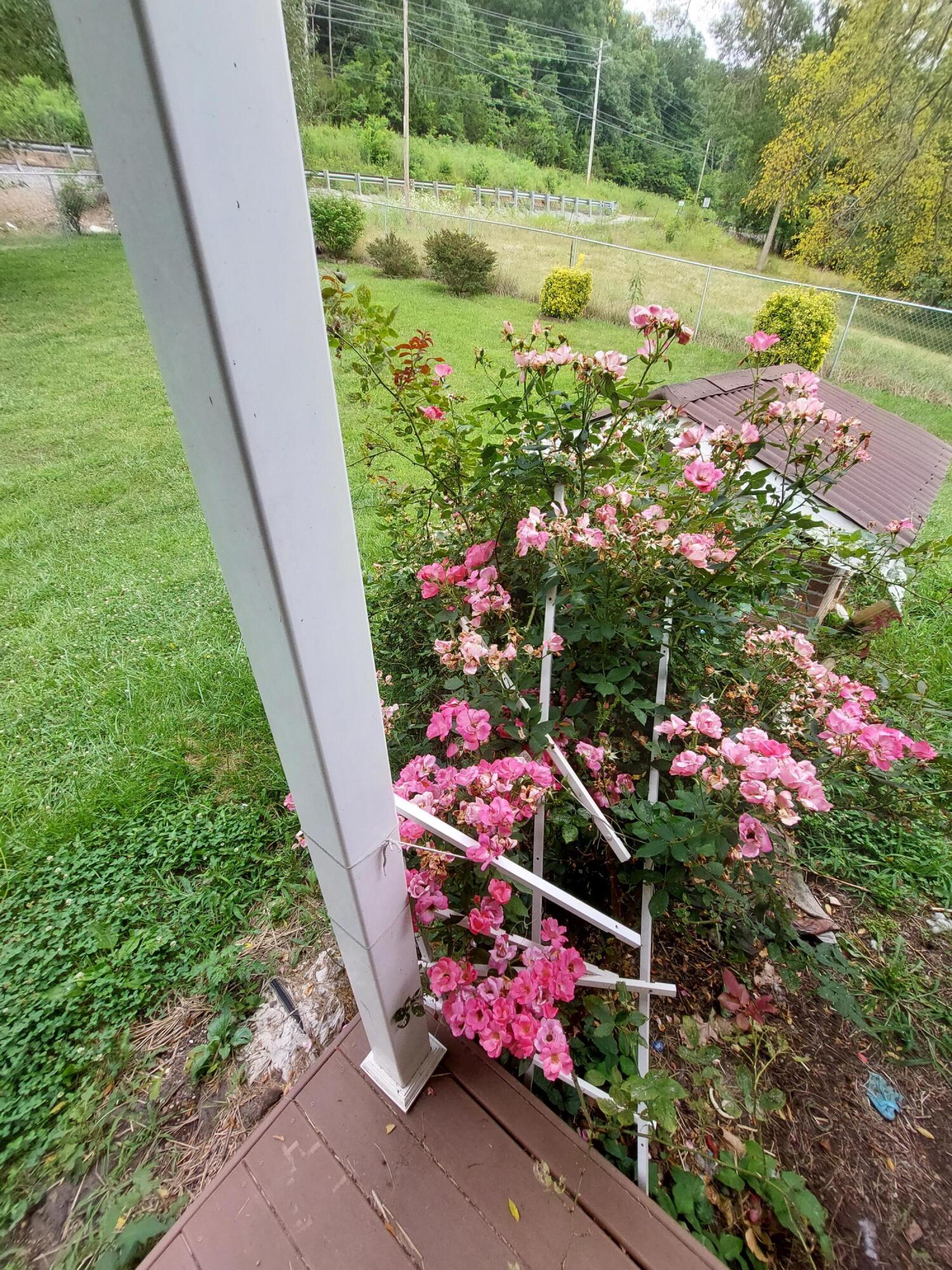 180 Farrow Road Rutledge, TN 37861 - Photo 20 of 38 20210707_160626