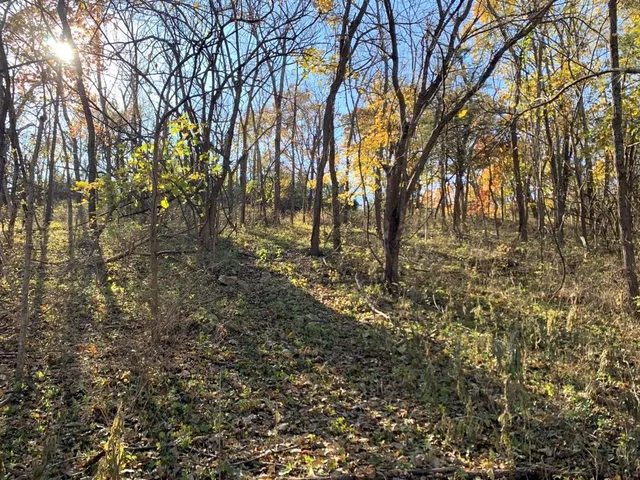 $495,000 | 17501 West Terrydale Street, Overland Park, KS 66221