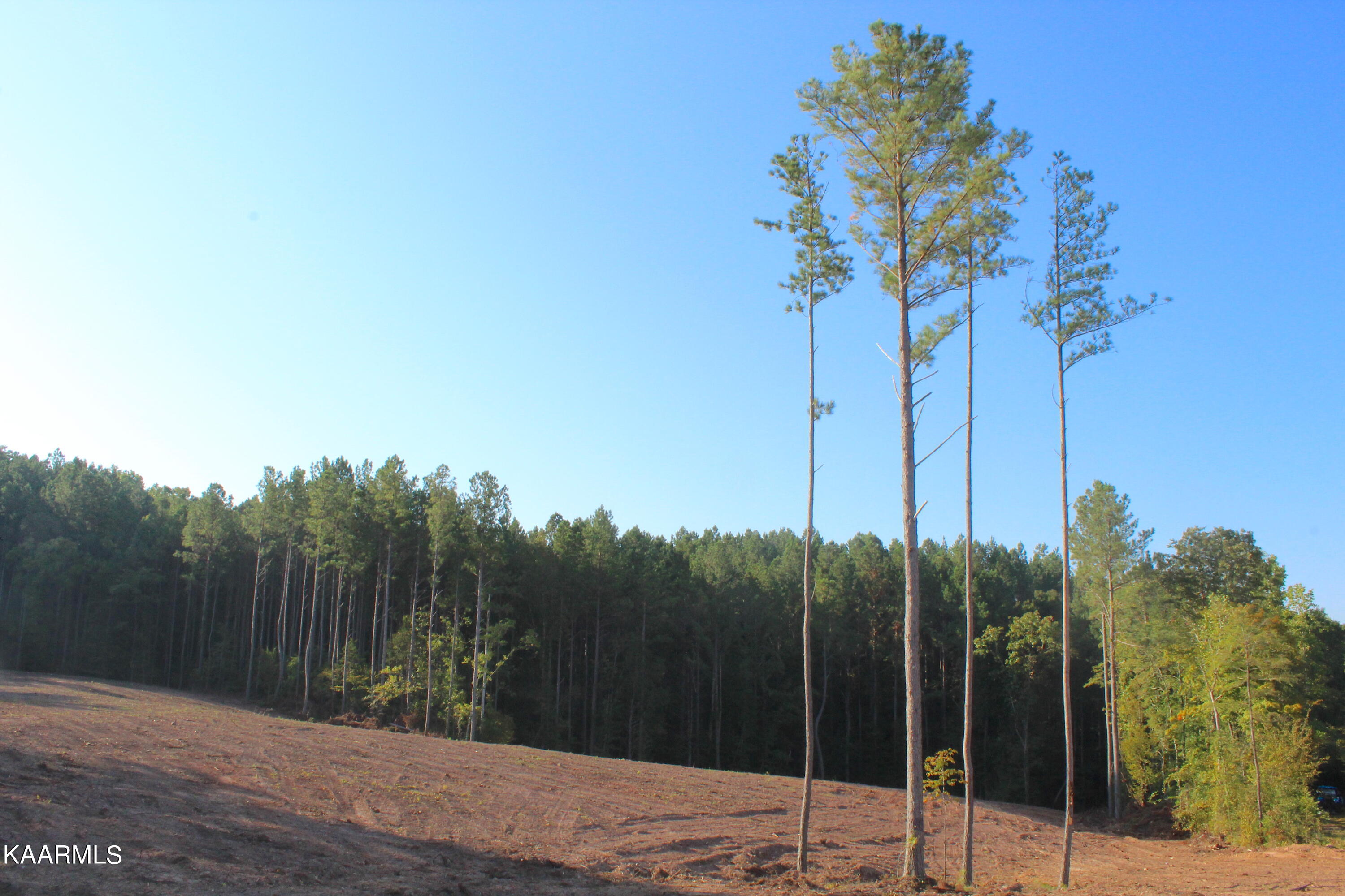 235 Bill Moser Road Vonore, TN 37885 - Photo 1 of 25 IMG_2422