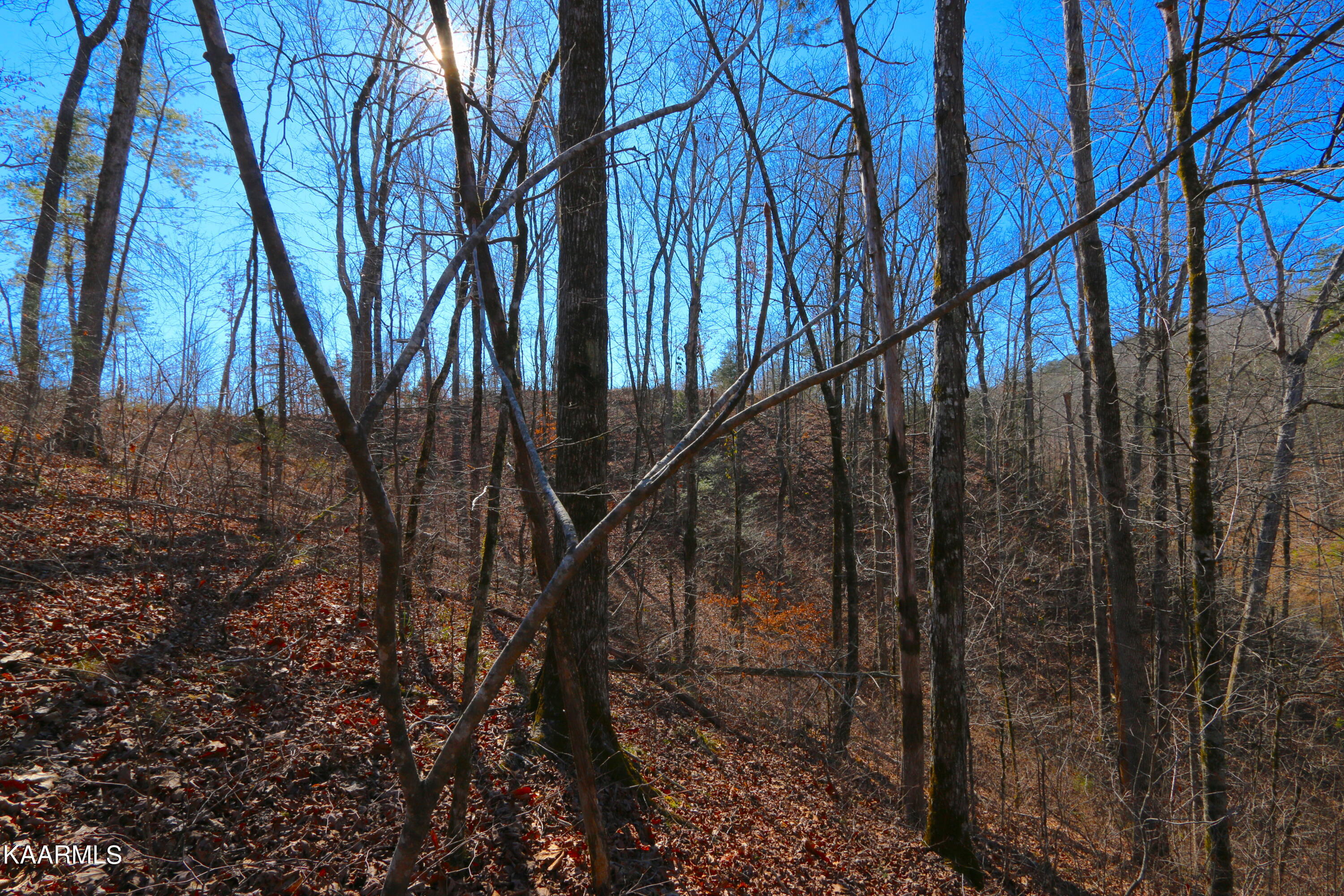 235 Bill Moser Road Vonore, TN 37885 - Photo 14 of 25 IMG_0228