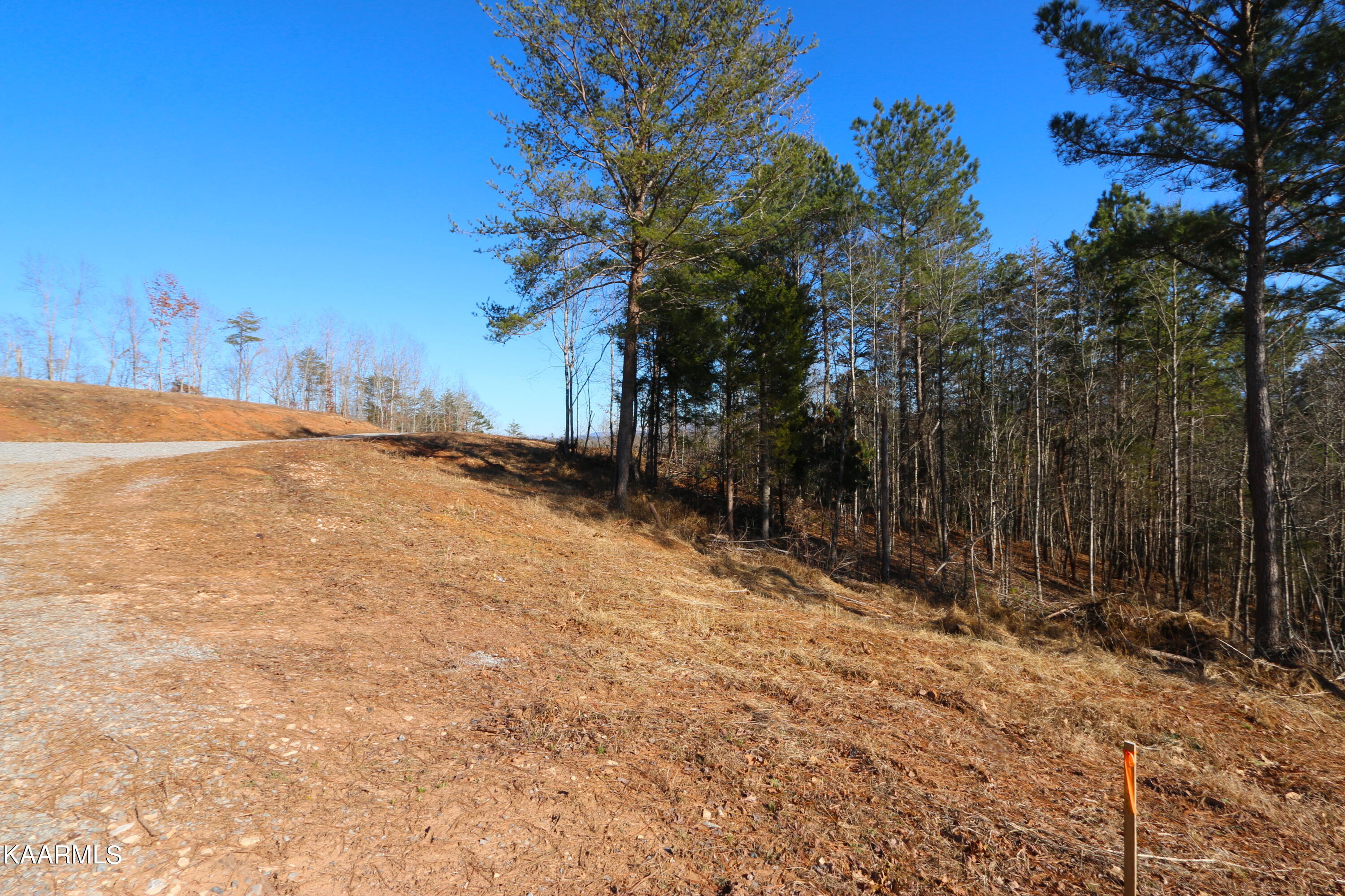 235 Bill Moser Road Vonore, TN 37885 - Photo 18 of 25 IMG_0288