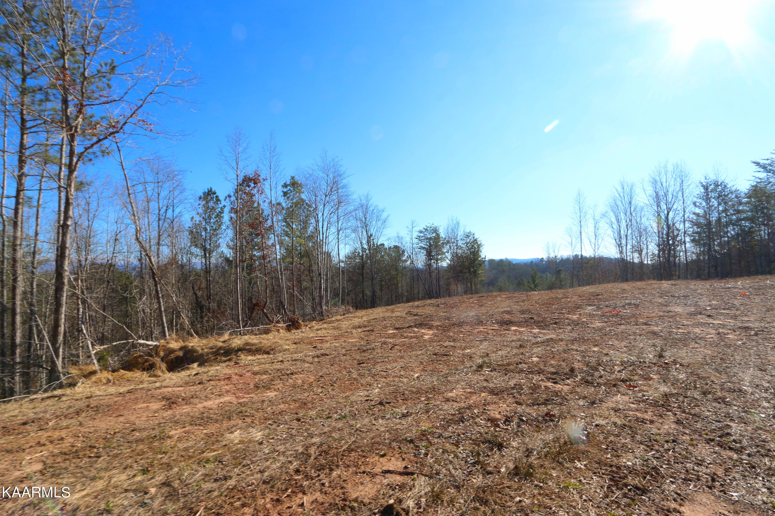 235 Bill Moser Road Vonore, TN 37885 - Photo 20 of 25 IMG_0290