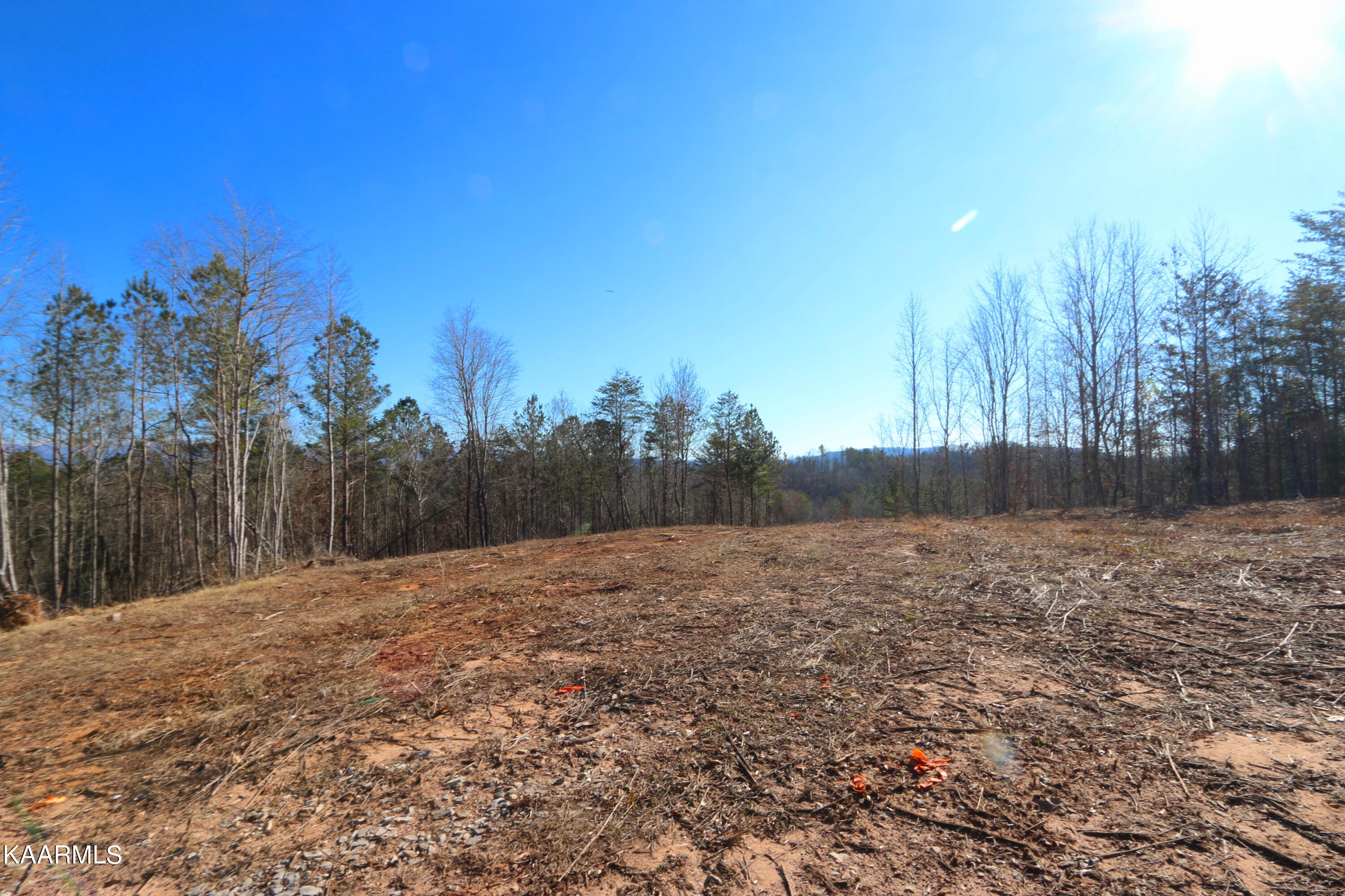 235 Bill Moser Road Vonore, TN 37885 - Photo 23 of 25 IMG_0293