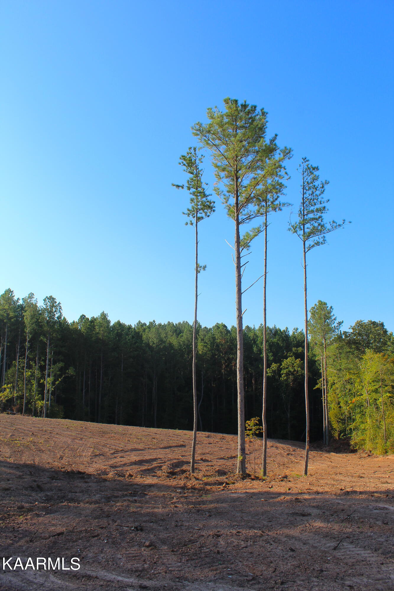 235 Bill Moser Road Vonore, TN 37885 - Photo 25 of 25 IMG_2423