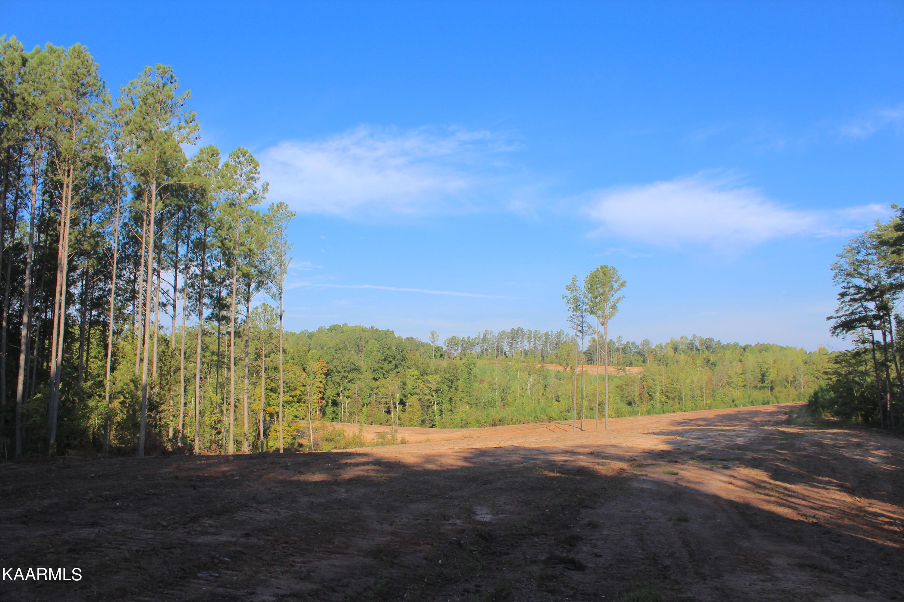 235 Bill Moser Road Vonore, TN 37885 - Photo 4 of 25 IMG_2433