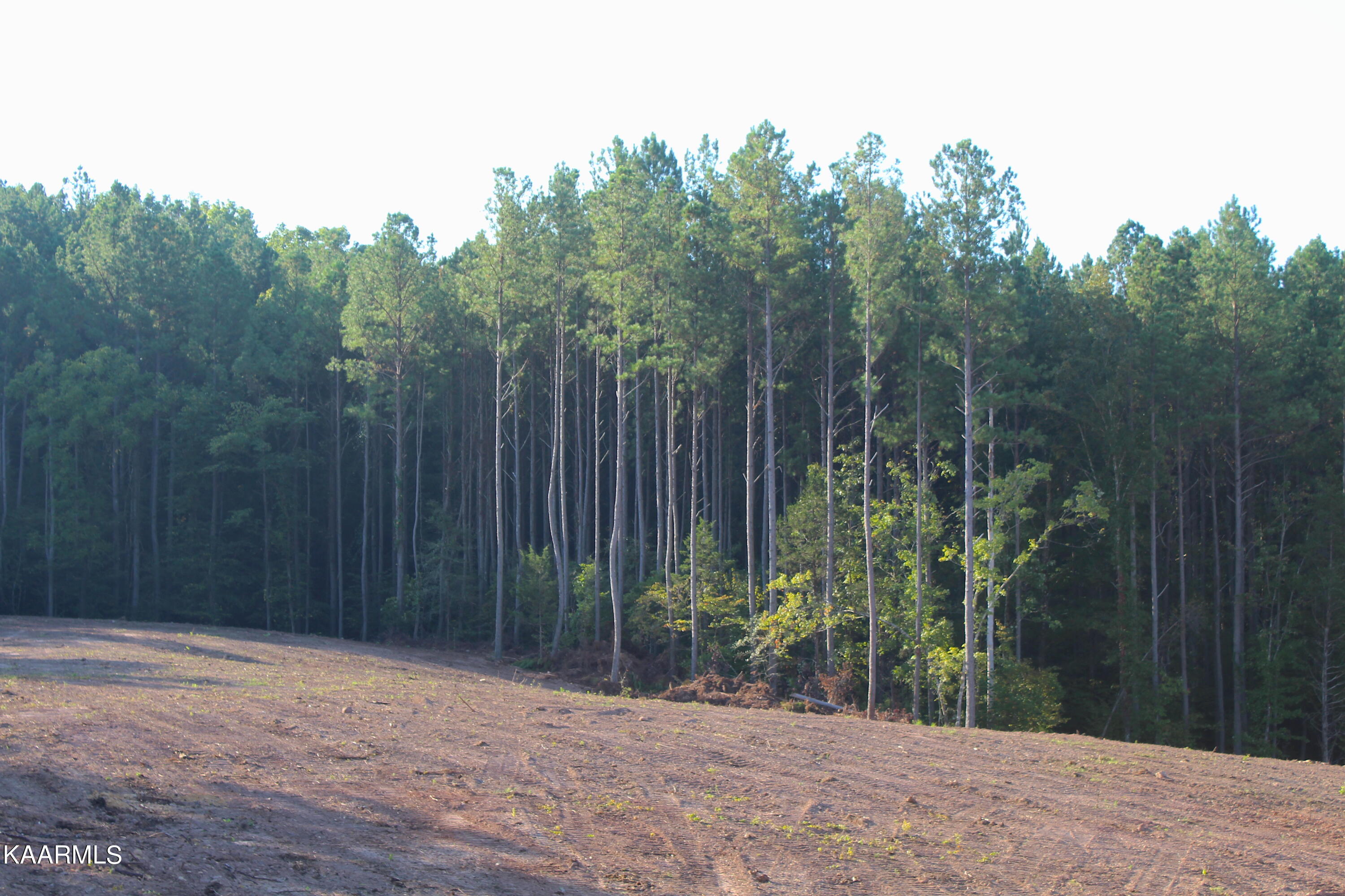 235 Bill Moser Road Vonore, TN 37885 - Photo 5 of 25 IMG_2426