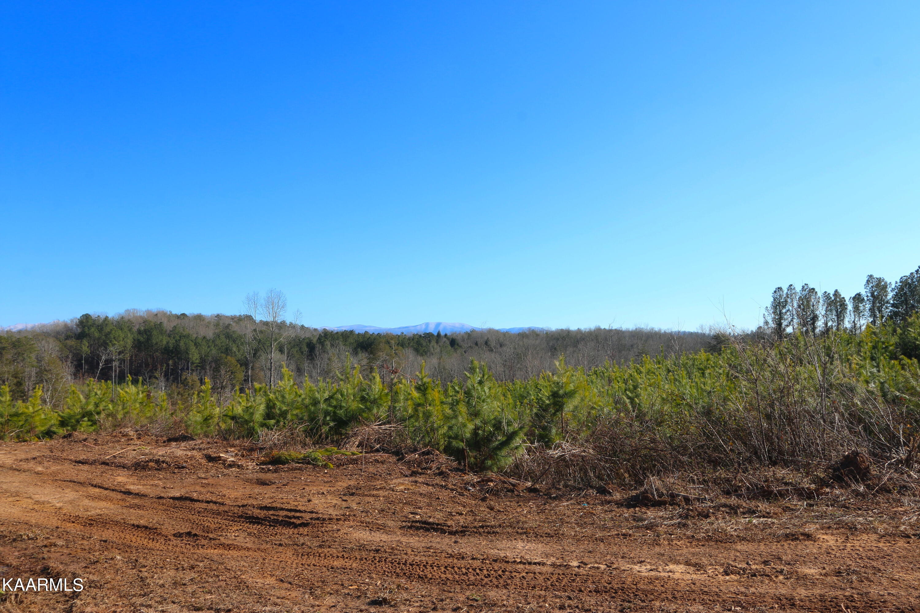 235 Bill Moser Road Vonore, TN 37885 - Photo 8 of 25 IMG_0344