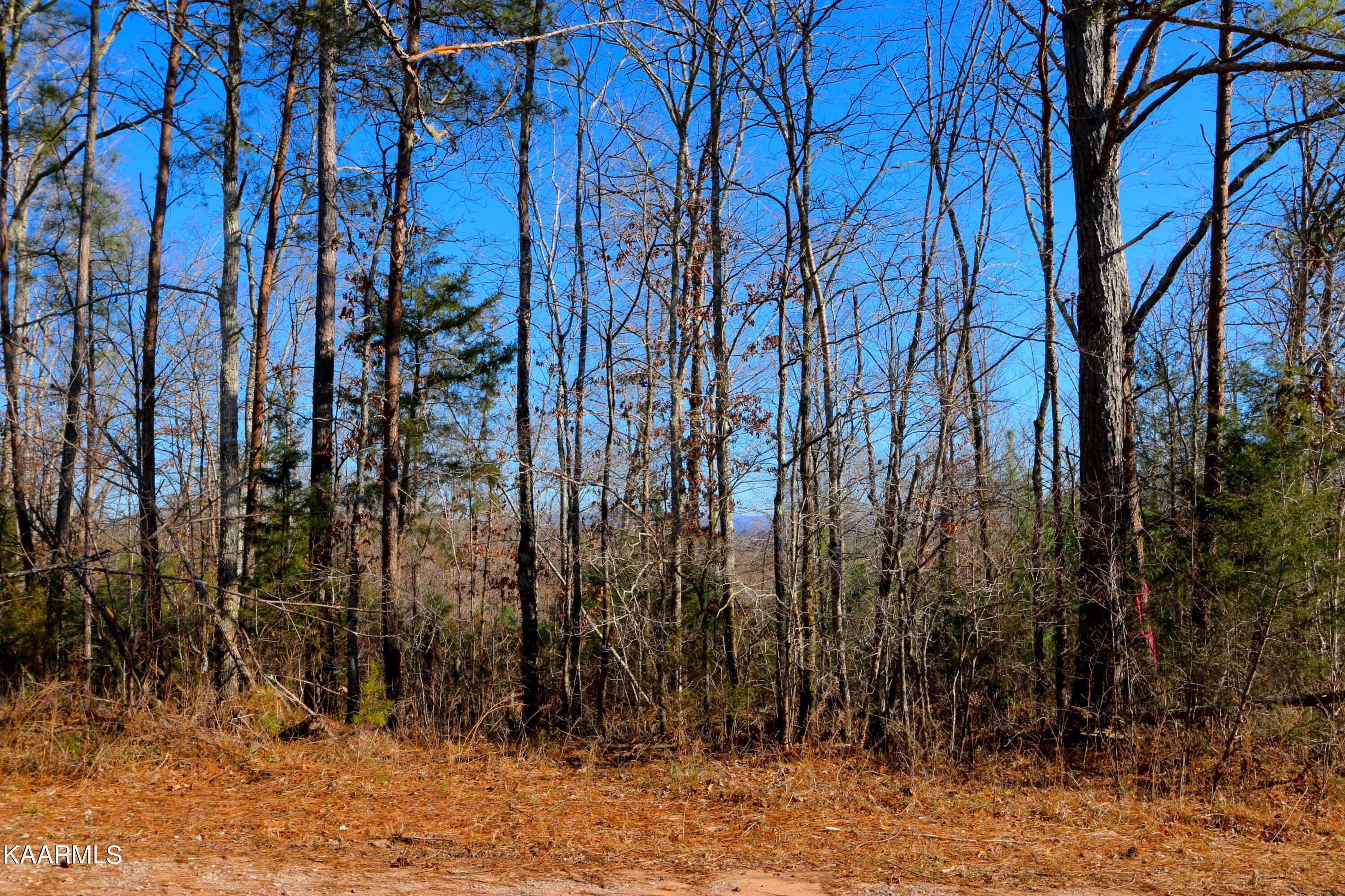 235 Bill Moser Road Vonore, TN 37885 - Photo 10 of 25 IMG_0309