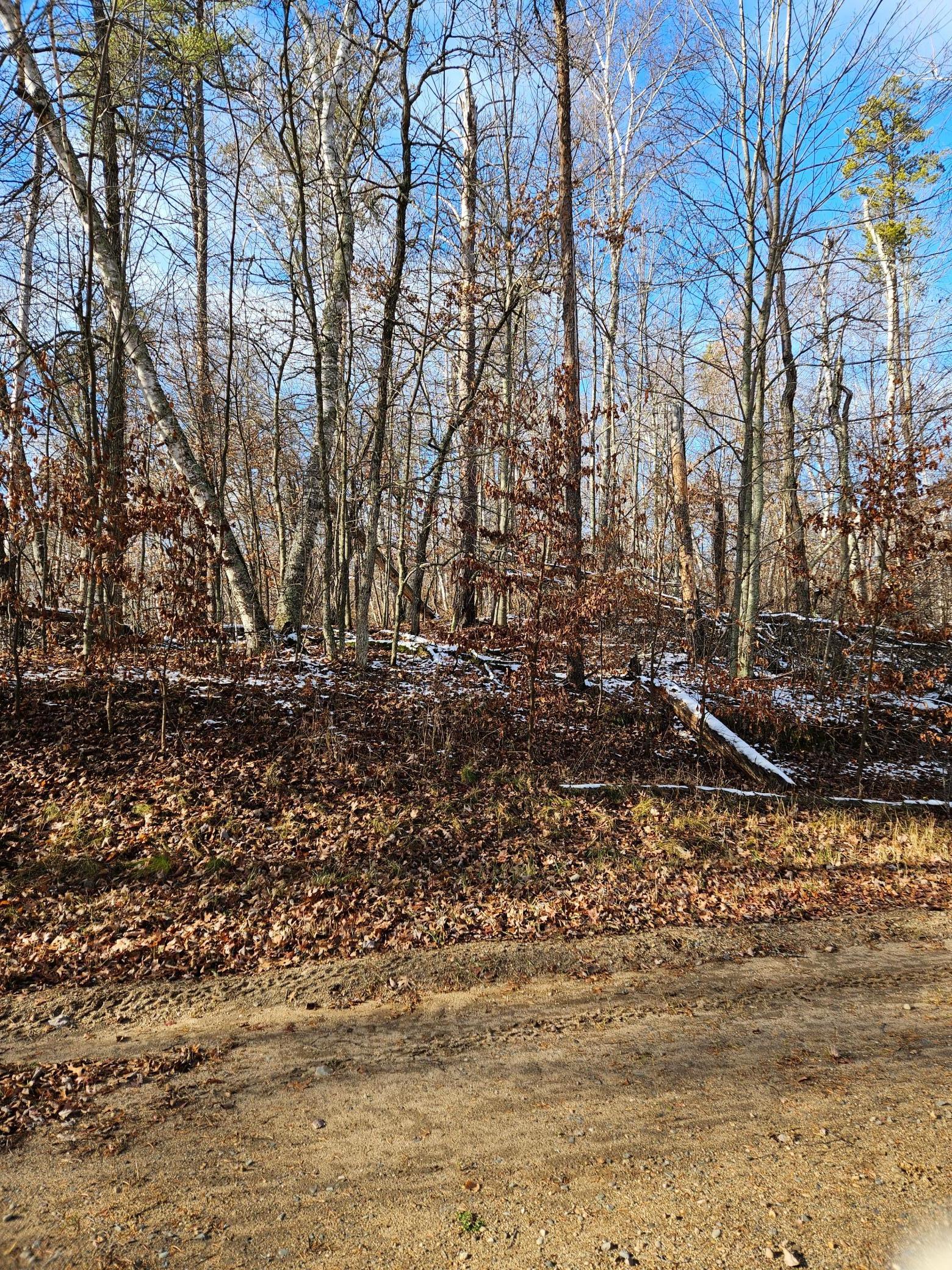 Lot 1 Racoon Lane Breezy Point, MN 56472 - Photo 2 of 6