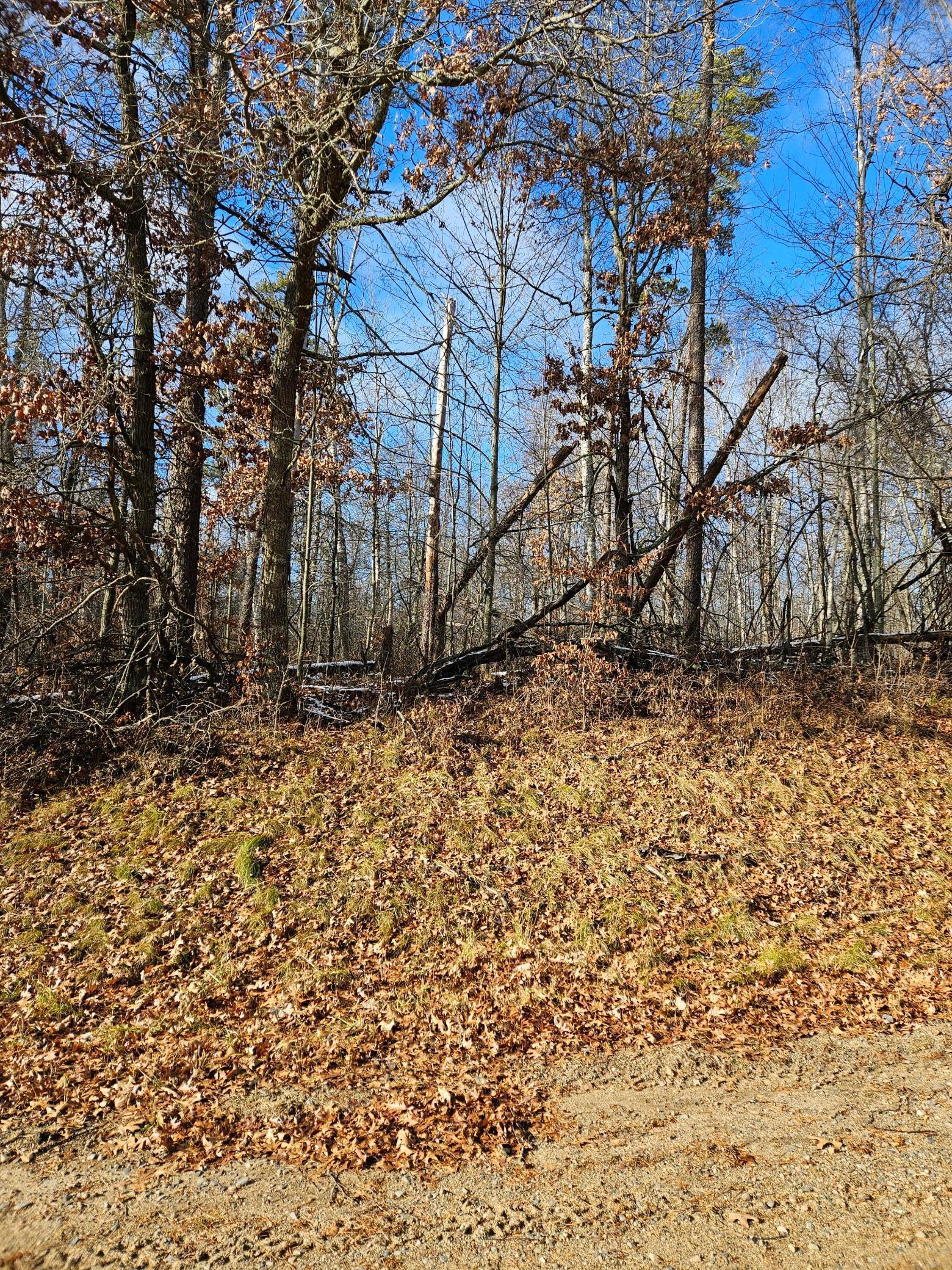 Lot 1 Racoon Lane Breezy Point, MN 56472 - Photo 4 of 6