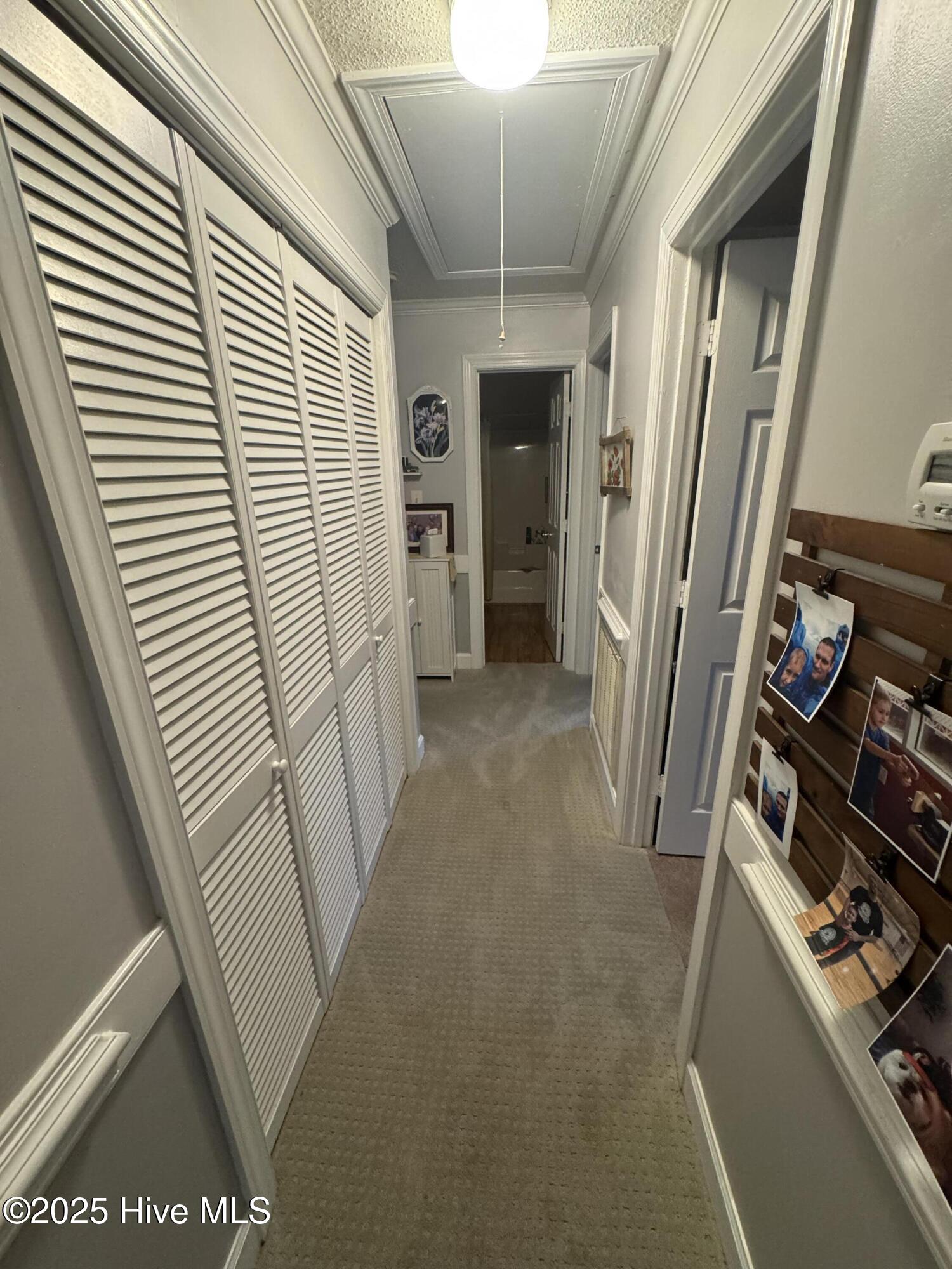 2834 Springflower Drive North Wilson, NC 27896 - Photo 17 of 24 Hallway/Location of Wash&Dry