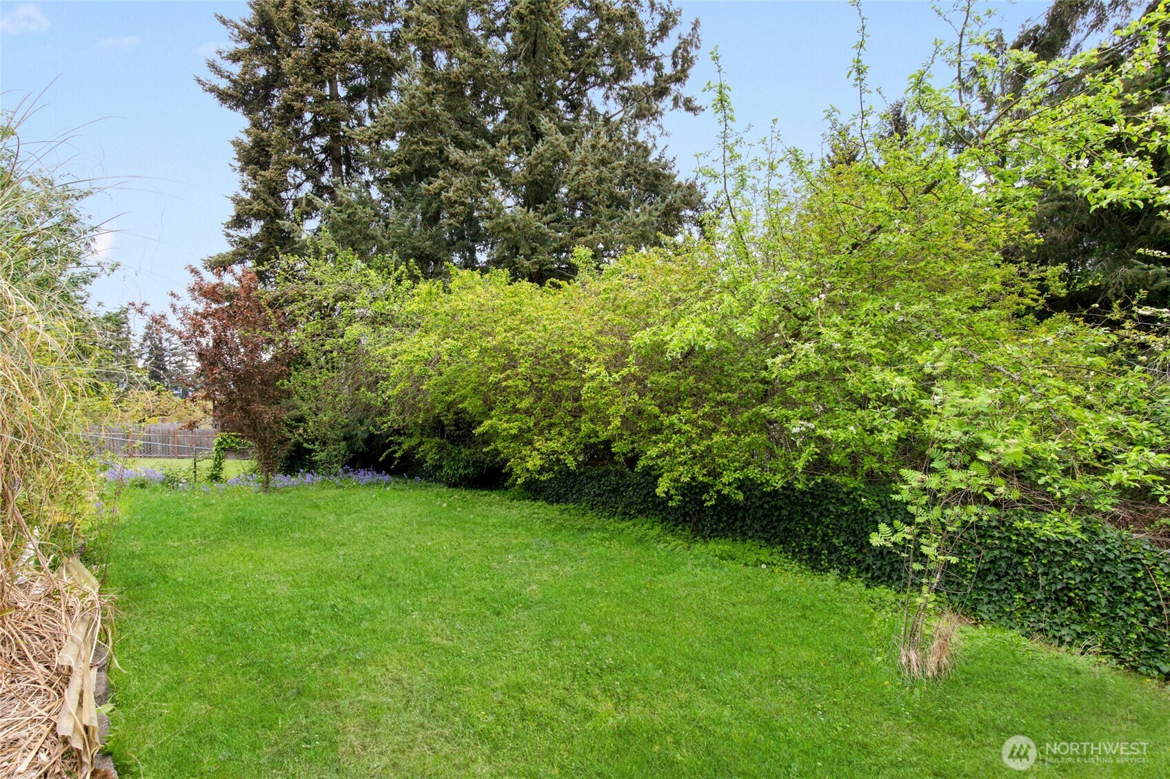 4625 Silvertip Lane Everett, WA 98203 - Photo 25 of 34