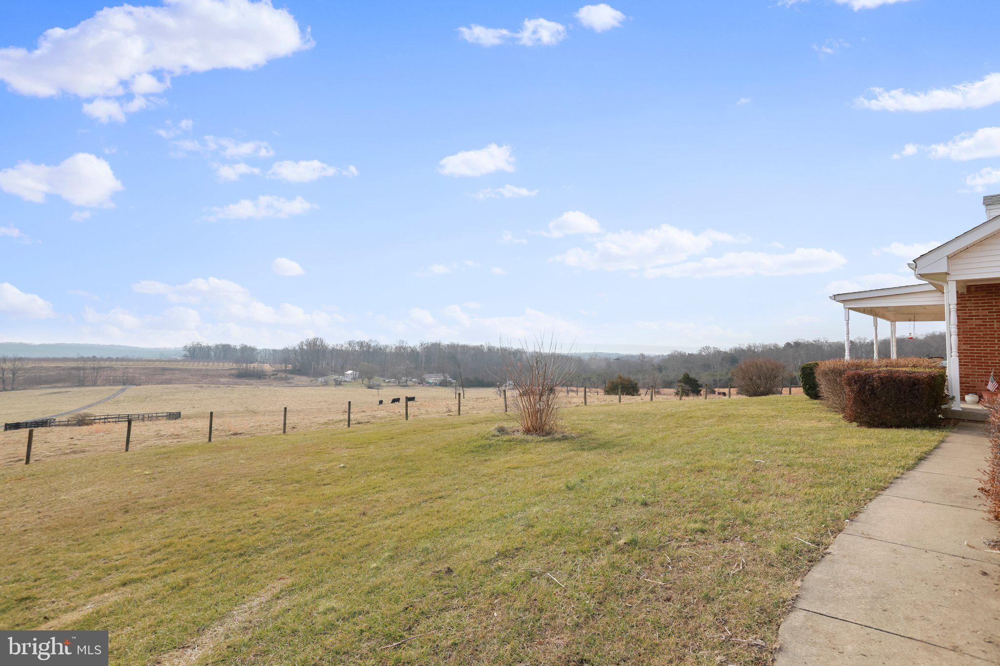 1067 Cottontown Road Strasburg, VA 22657 - Photo 46 of 73 Gallery Image 46