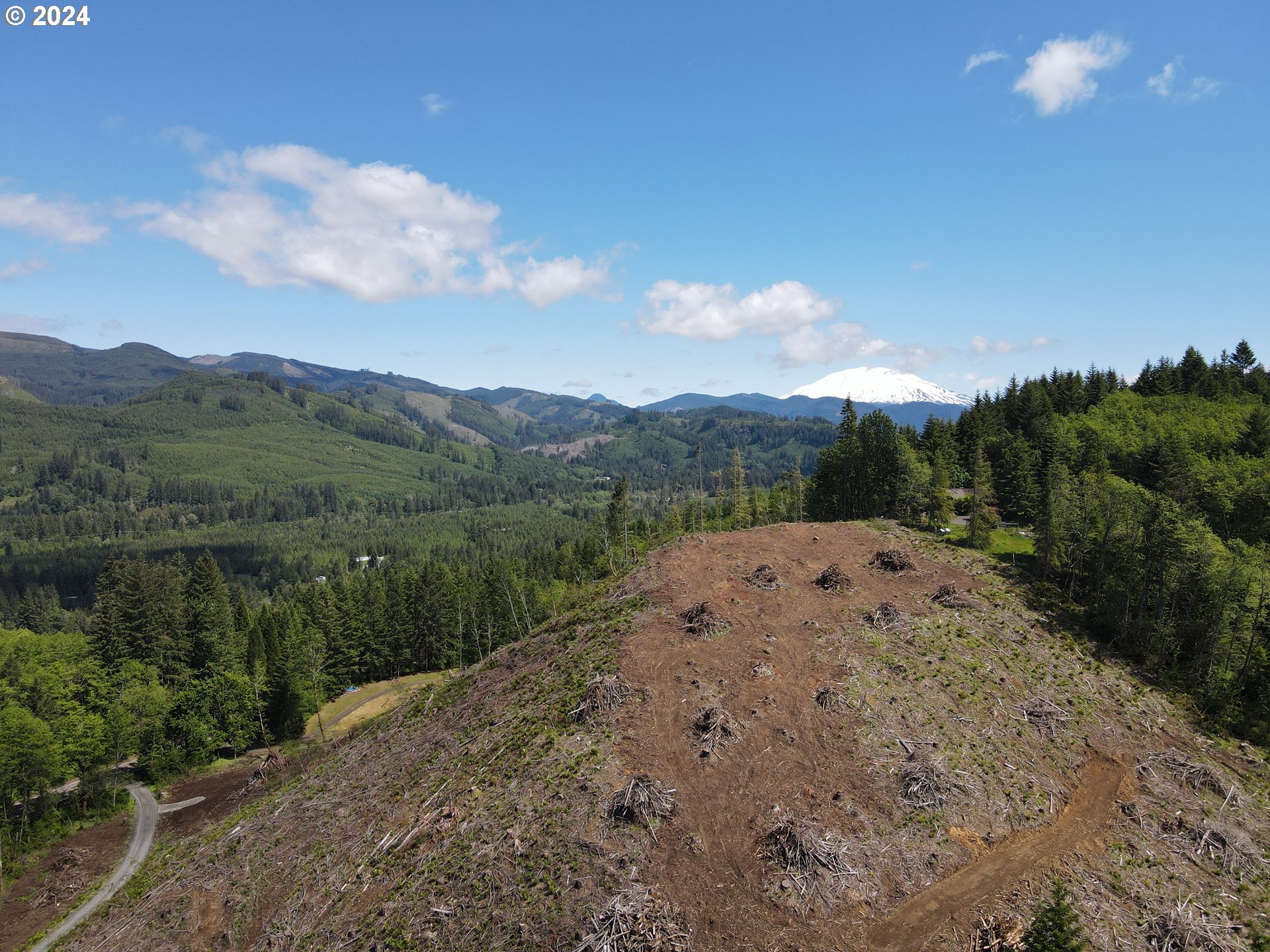 Yale Bridge Road Amboy, WA 98601 - Photo 16 of 24 Gallery Image 16