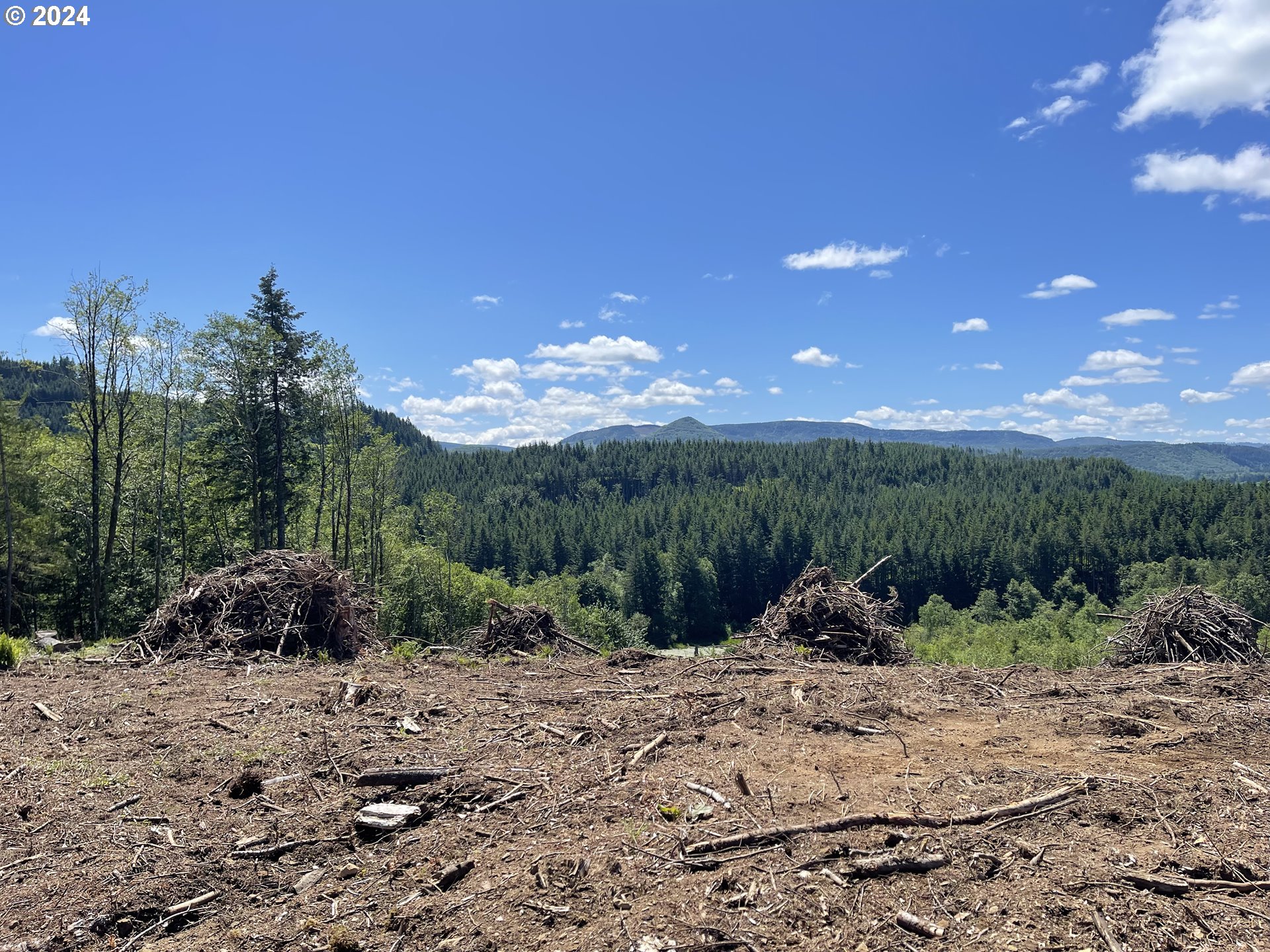 Yale Bridge Road Amboy, WA 98601 - Photo 18 of 24 Gallery Image 18