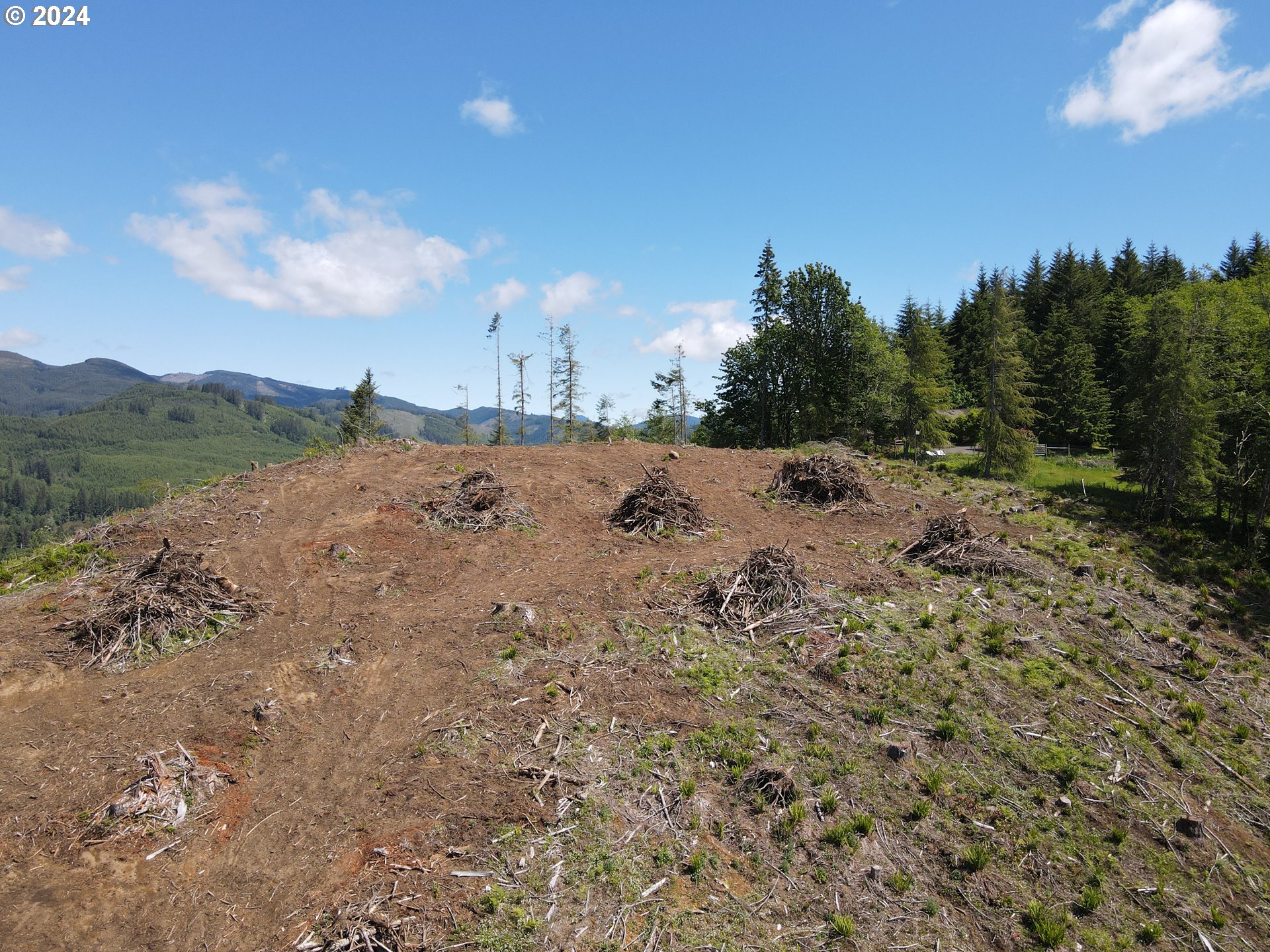 Yale Bridge Road Amboy, WA 98601 - Photo 19 of 24 Gallery Image 19