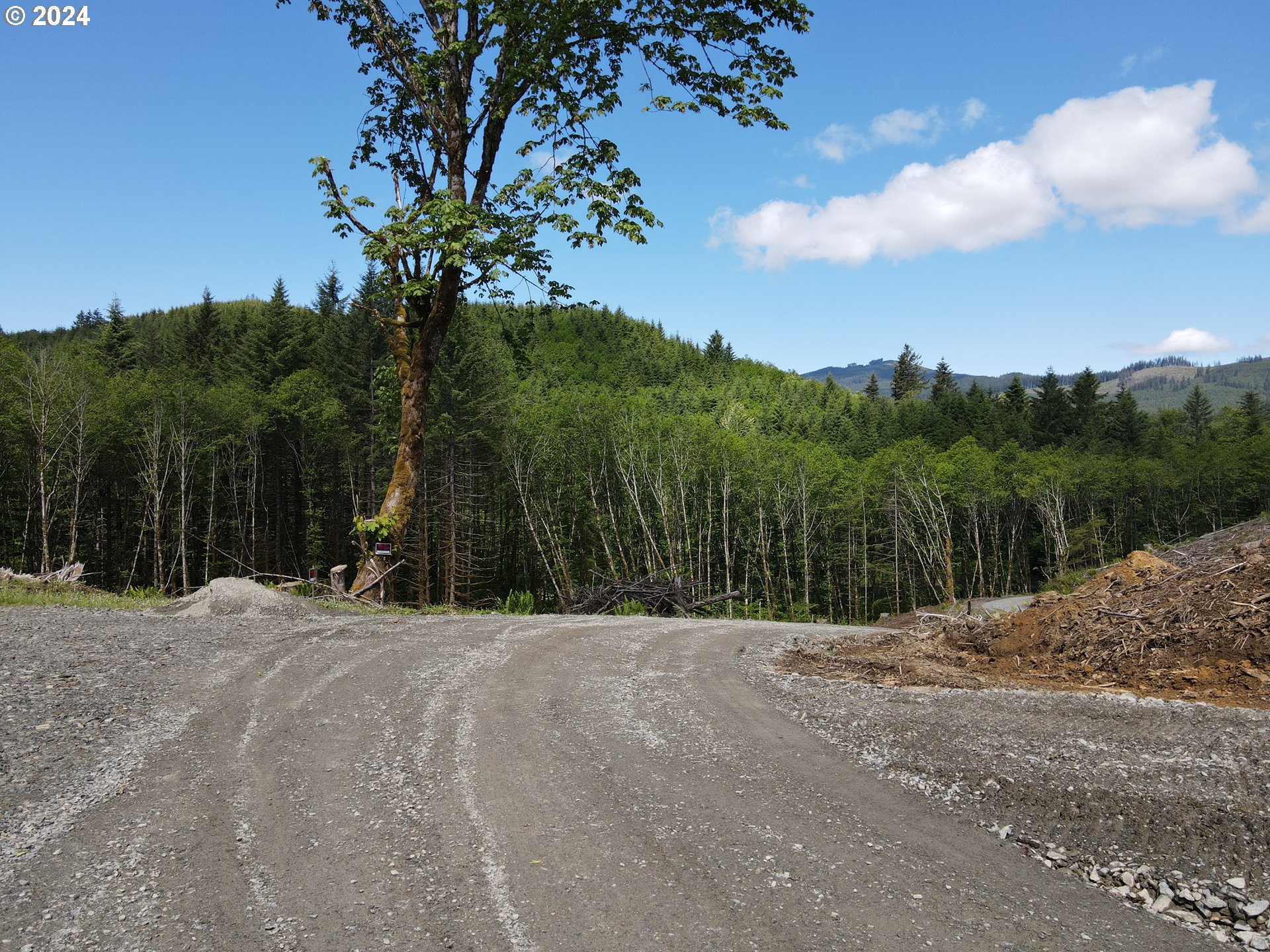 Yale Bridge Road Amboy, WA 98601 - Photo 5 of 24 Gallery Image 5