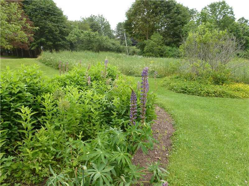 33 Fir Hollow Road Pemaquid, ME 04558 - Photo 28 of 35 Yard/Garden.