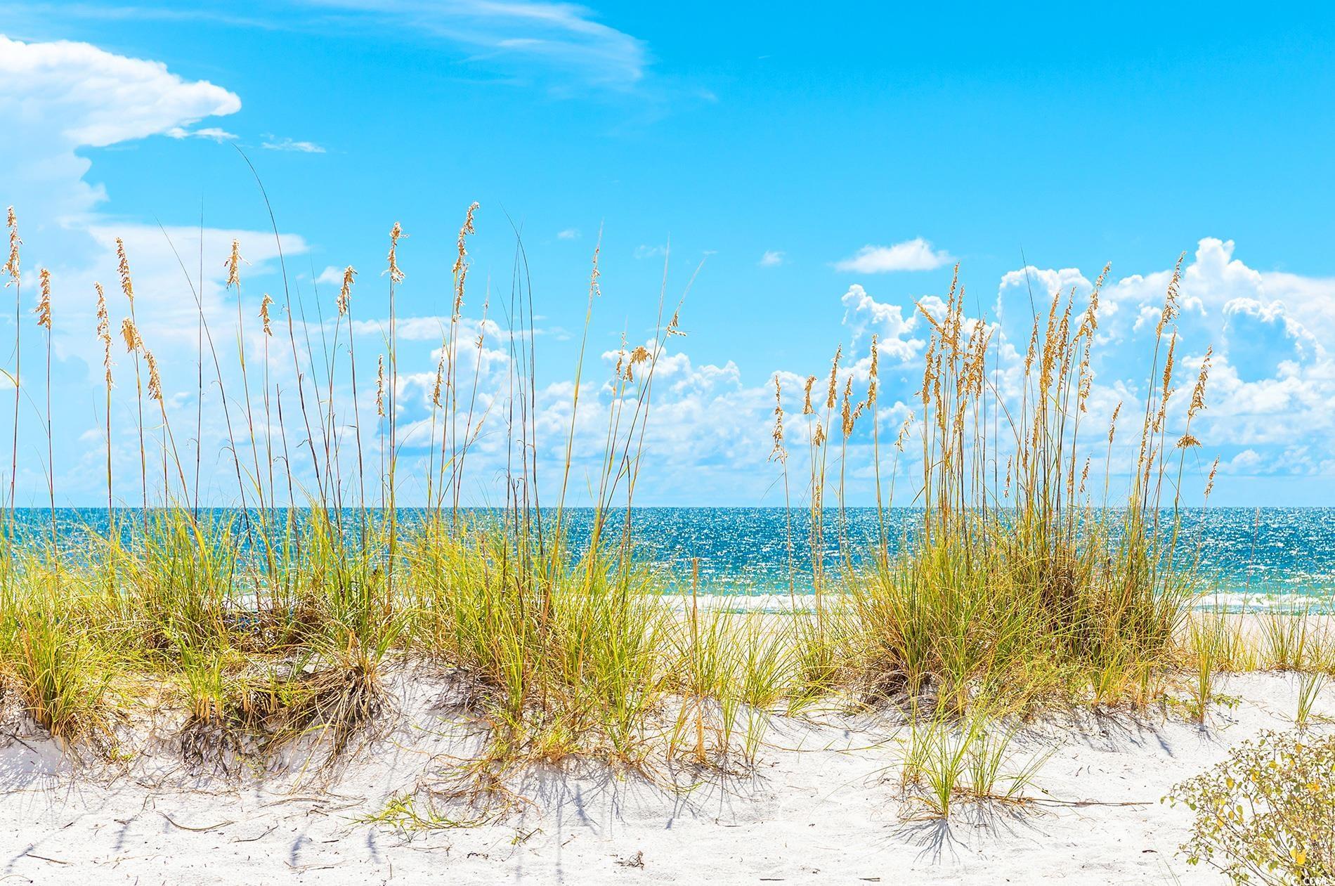 108 Parmelee Drive, Unit E Murrells Inlet, SC 29576 - Photo 40 of 40