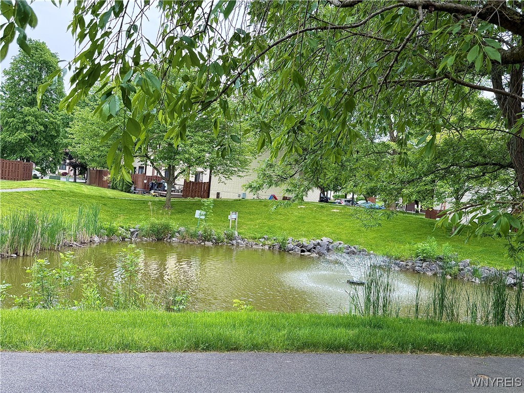 207 Charlesgate Circle Amherst, NY 14051 - Photo 28 of 34