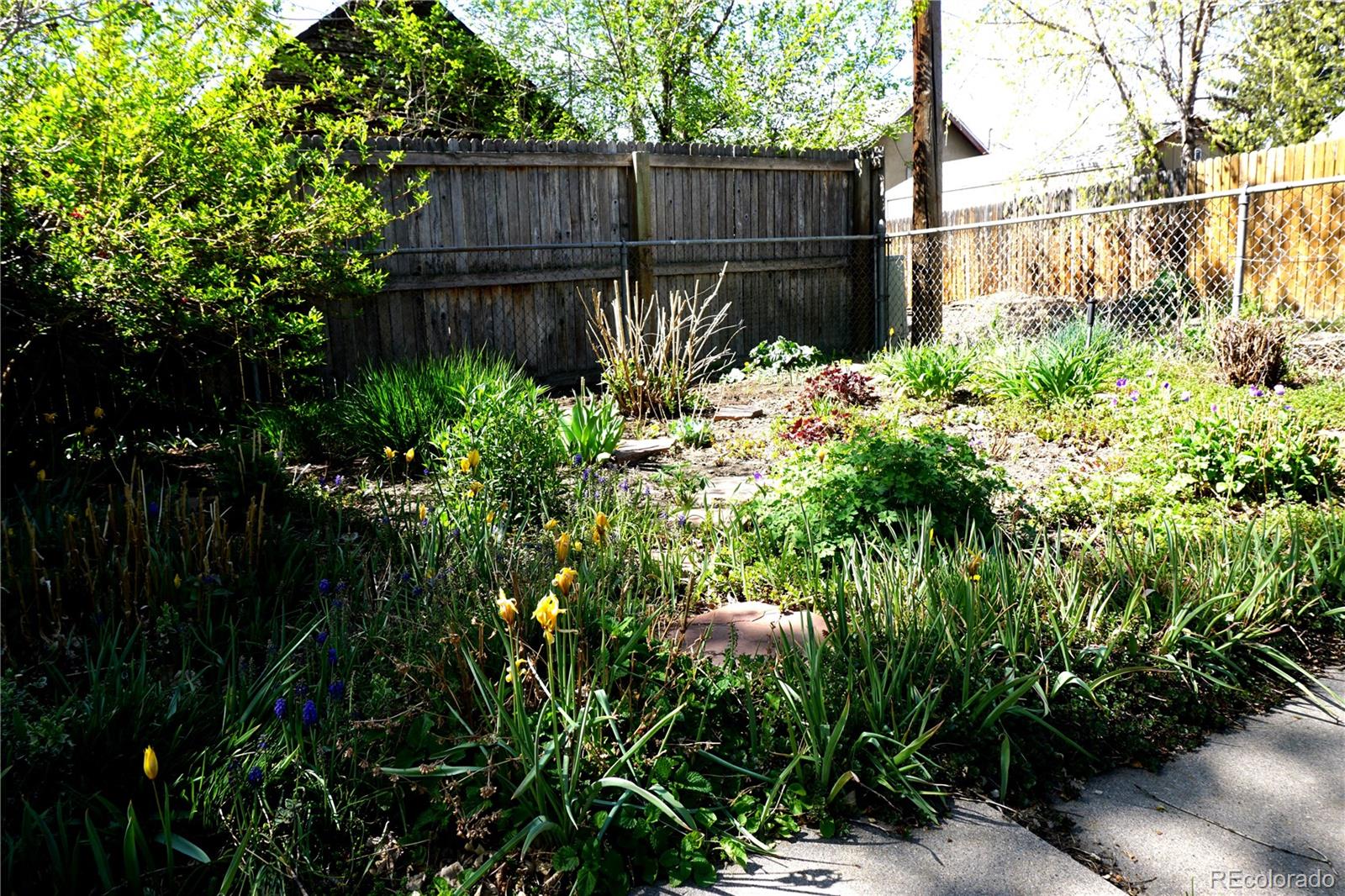 2905 Benton Street Wheat Ridge, CO 80214 - Photo 25 of 25