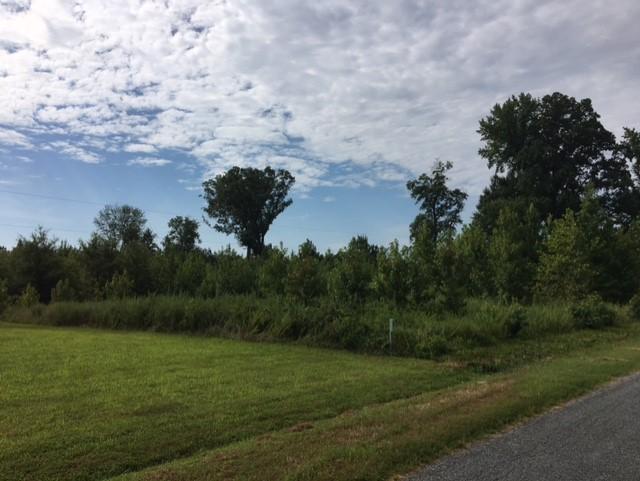0 Crane Road Danville, VA 24540 - Photo 1 of 1 ROAD VIEW