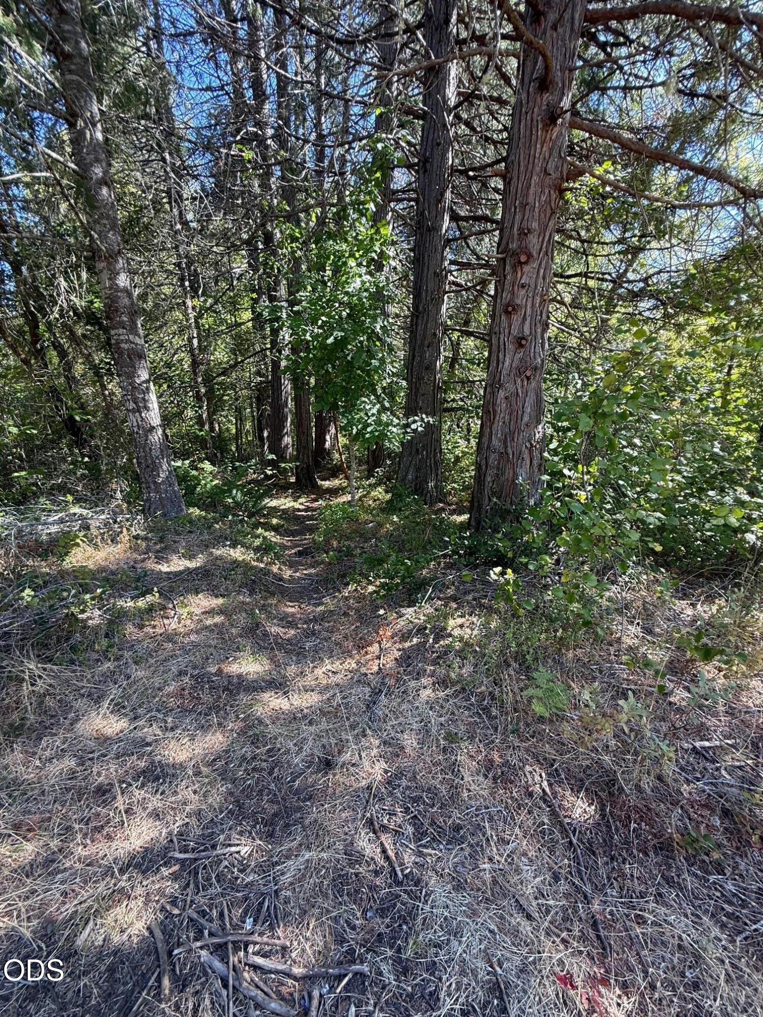705 Lone Mountain Road O'Brien, OR 97534 - Photo 37 of 44 Gallery Image 37