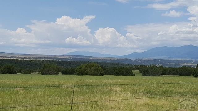 102 William Finlay Drive Rye, CO 81069 - Photo 2 of 7 Gallery Image 2