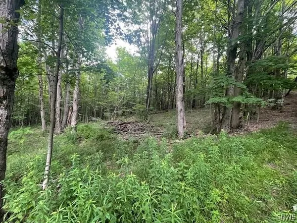 $159,900 | 2009 Thermopylae Drive, Virgil, NY 13045