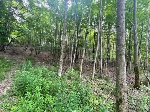 $159,900 | 2009 Thermopylae Drive, Virgil, NY 13045