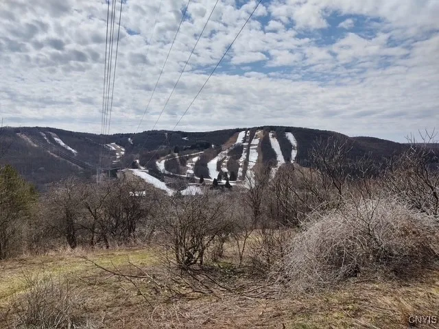 $159,900 | 2010 Thermopylae Drive, Virgil, NY 13045