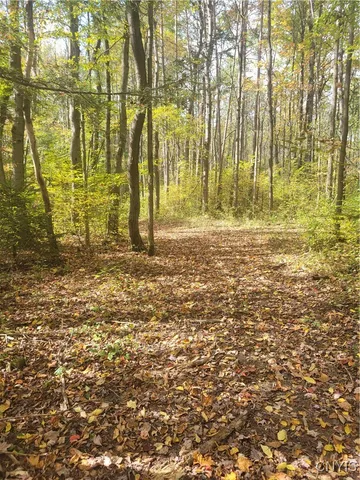 $159,900 | 2009 Thermopylae Drive, Virgil, NY 13045