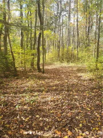 $159,900 | 2010 Thermopylae Drive, Virgil, NY 13045