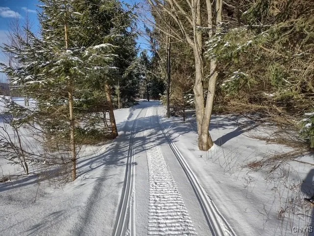 $159,900 | 2010 Thermopylae Drive, Virgil, NY 13045