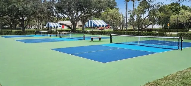 a view of a backyard with a garden and plants