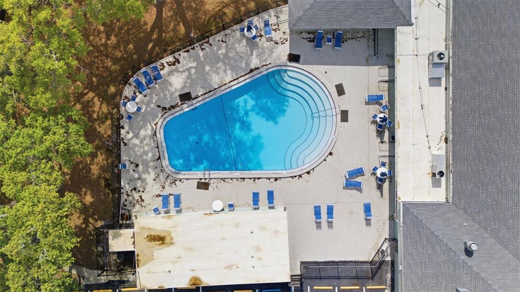 2036 West Ridge Drive Clearwater, FL 33763 - Photo 50 of 50