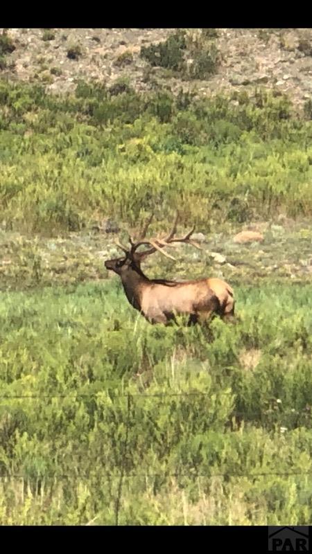 Parcel13 Majors Ranch Road Walsenburg, CO 81089 - Photo 1 of 1