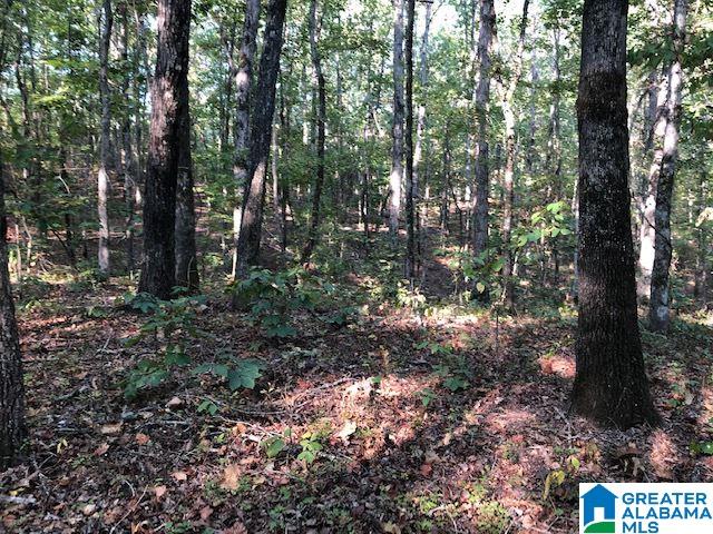 900 Holloway Road, Unit 58 AC Camp Hill, AL 36850 - Photo 6 of 6