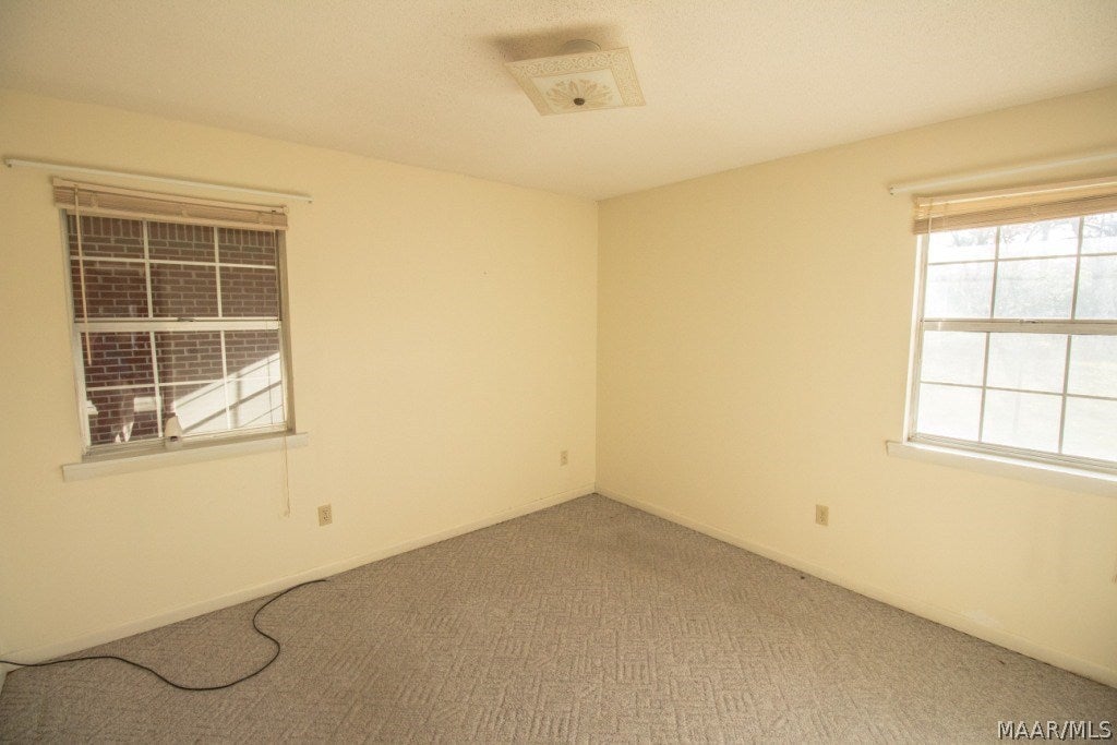 330 Lamar Street Samson, AL 36477 - Photo 14 of 31 Gallery Image 14