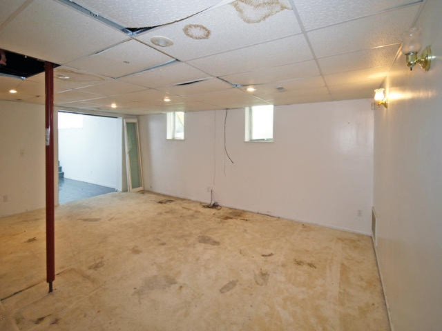 46304 Cr 352 Street Decatur, MI 49045 - Photo 15 of 16 263-442431-main room lower level1
