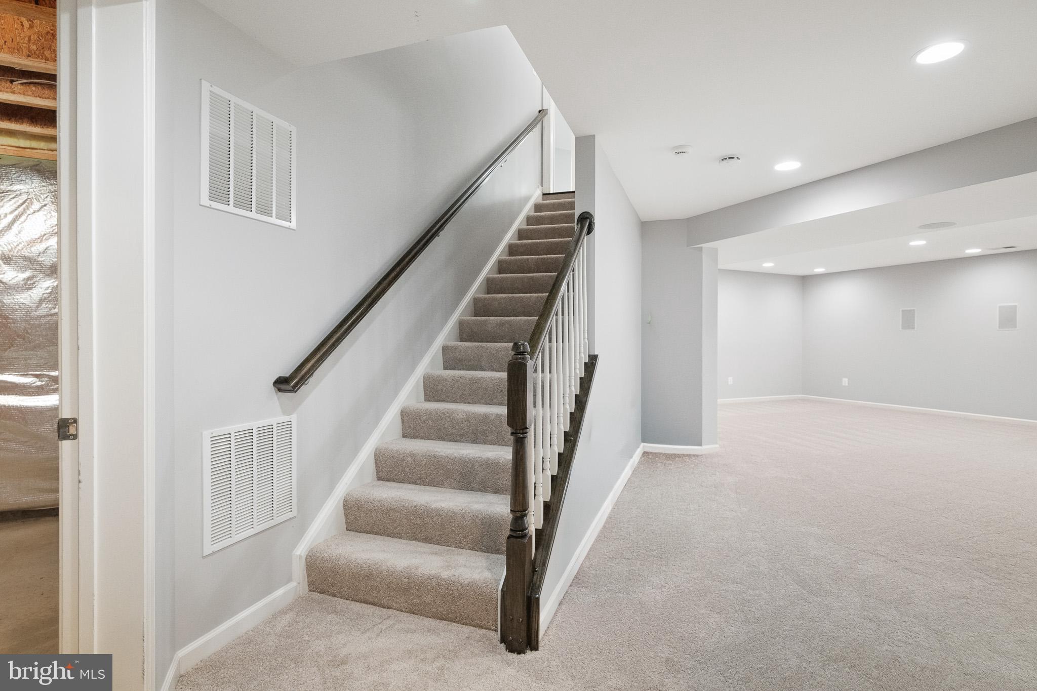 42387 Rising Moon Place Brambleton, VA 20148 - Photo 41 of 58 Brand NEW Carpet in the basement