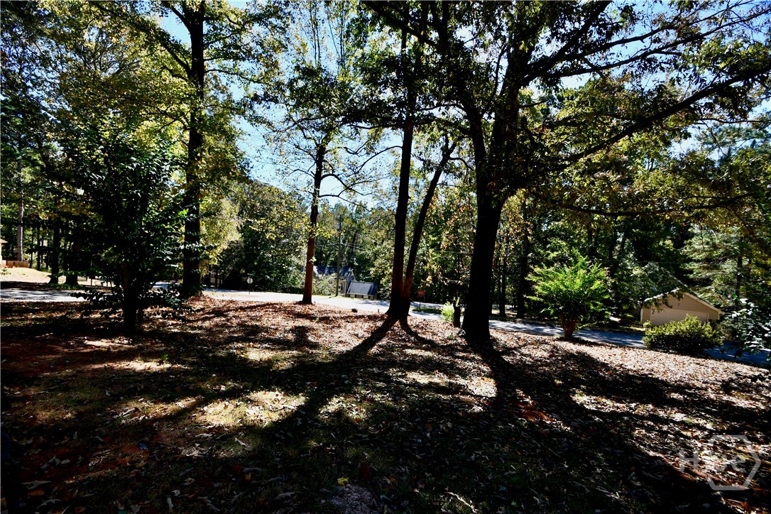 110 Thomas Trail Covington, GA 30016 - Photo 30 of 33