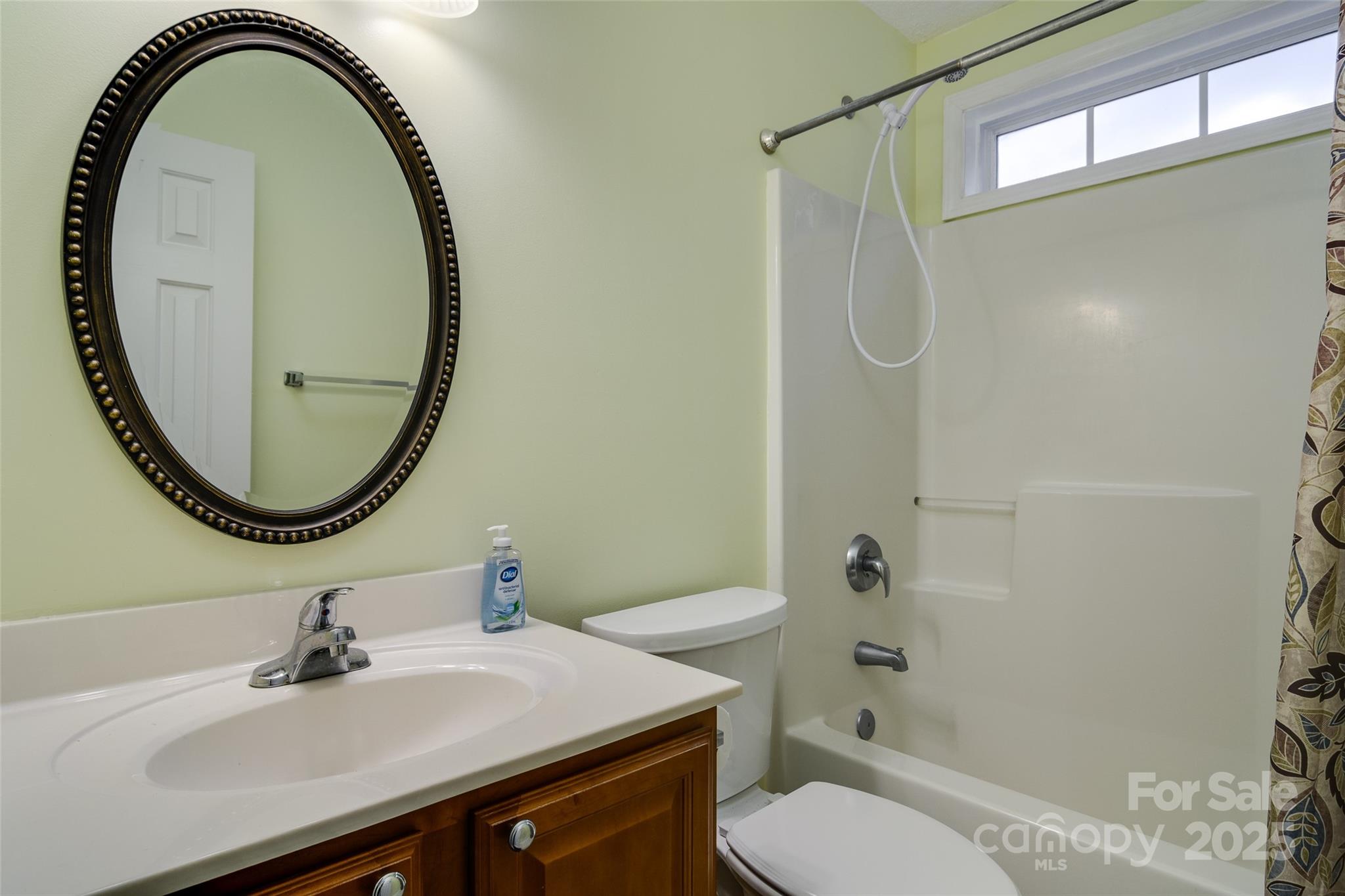 395 Running Briar Road Fletcher, NC 28732 - Photo 24 of 33 a bathroom with a sink a toilet and a mirror