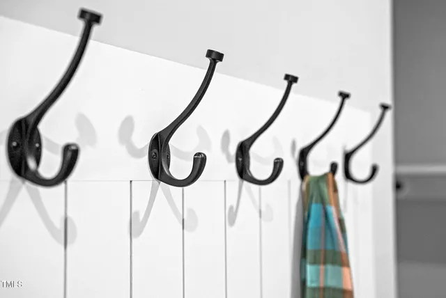 a view of a forest with a tree