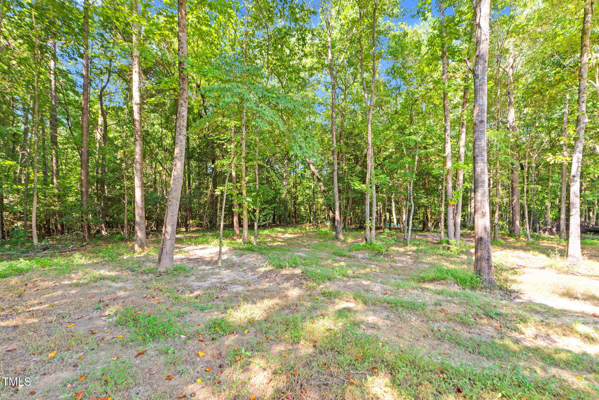 1004 Snow Peak Court Raleigh, NC 27603 - Photo 59 of 65 1004 Snow Peak Court-115