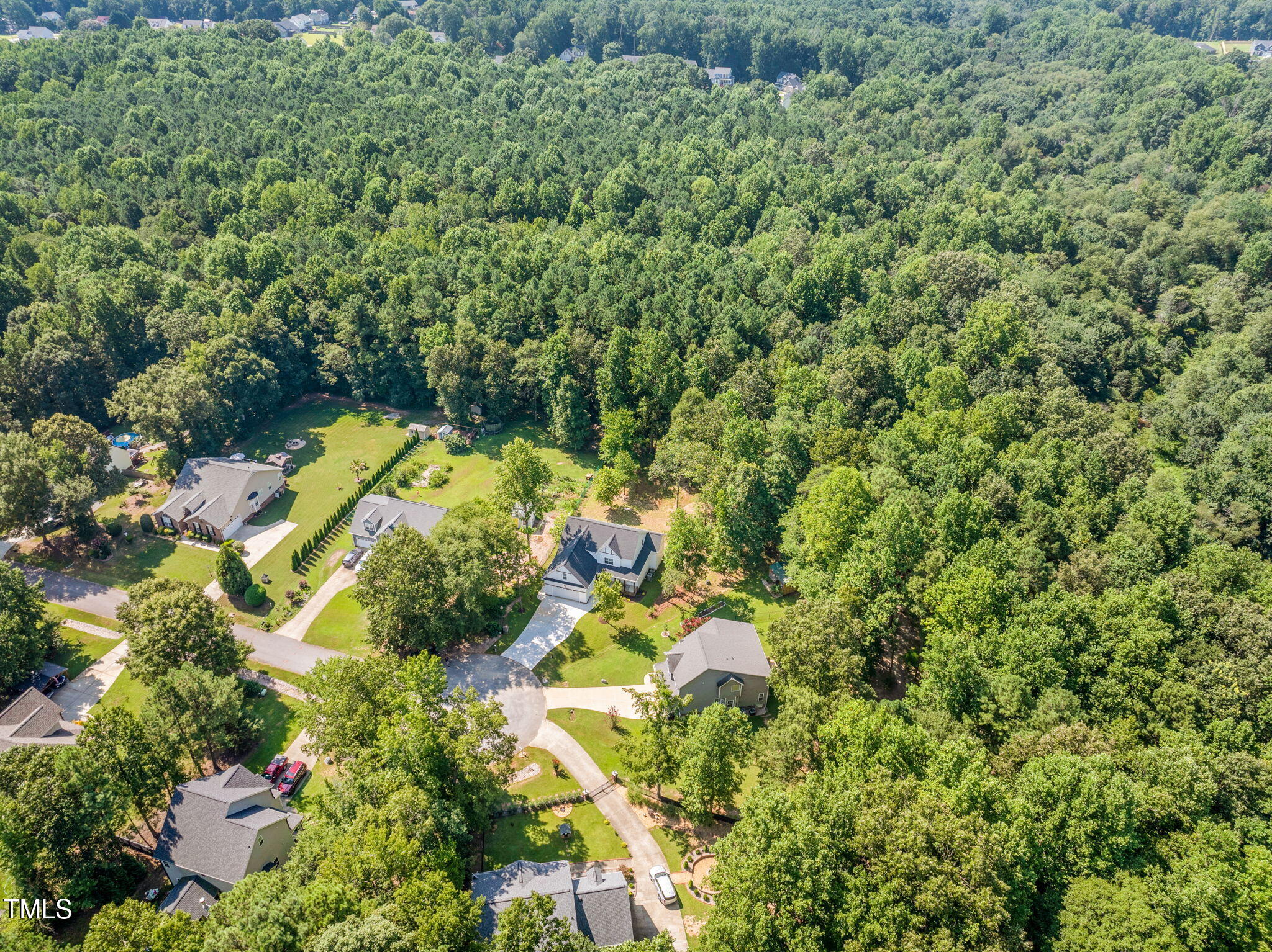 1004 Snow Peak Court Raleigh, NC 27603 - Photo 64 of 65 a view of a forest with a tree