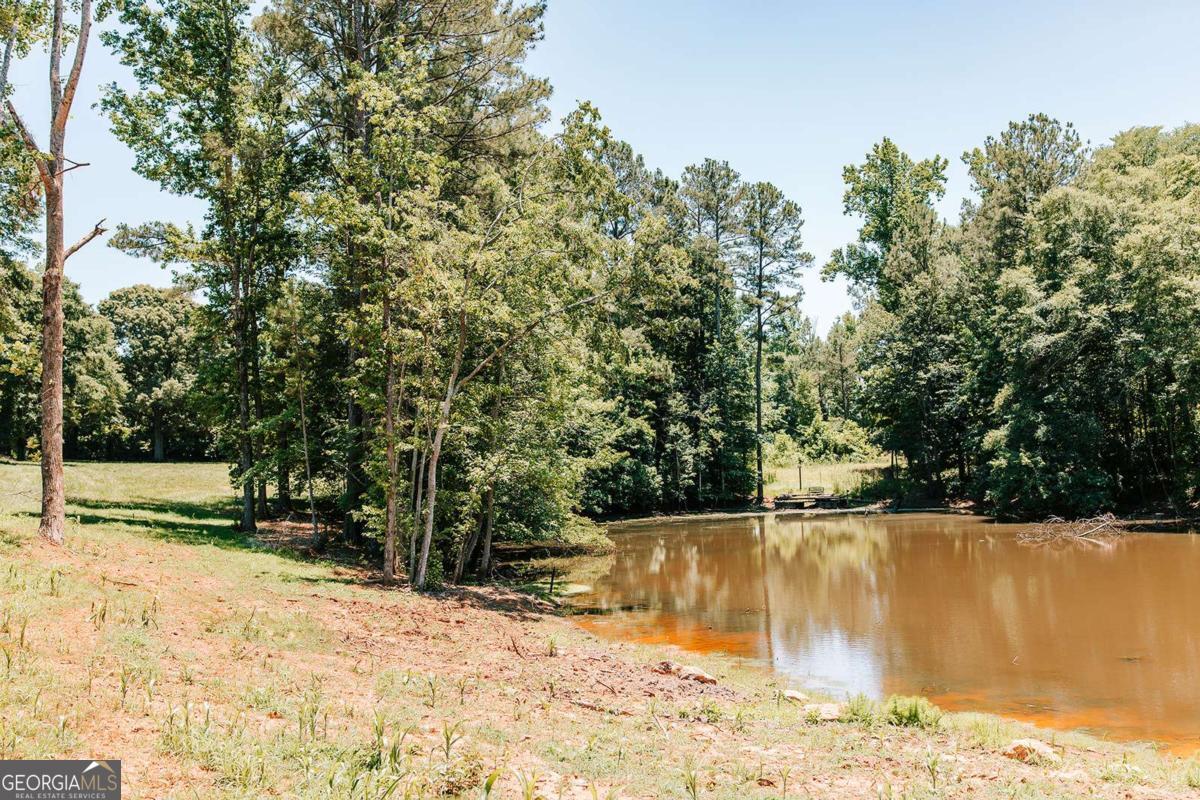 0 Mitchell Farm Road Colbert, GA 30628 - Photo 17 of 45