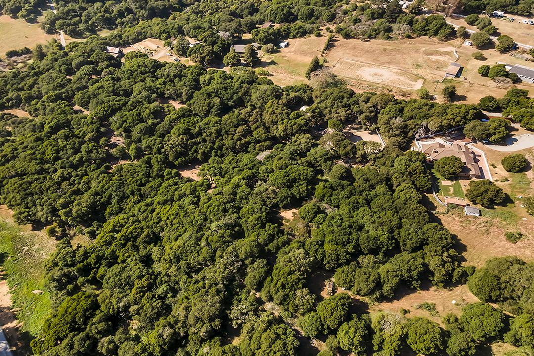 8640 Dyer Road Prunedale, CA 93907 - Photo 56 of 61